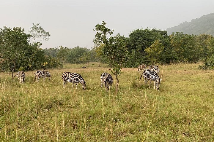 Photograph of Shai Hills Resource Reserve